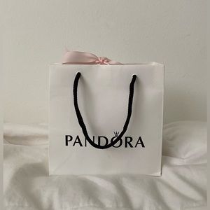 Pandora gift bag